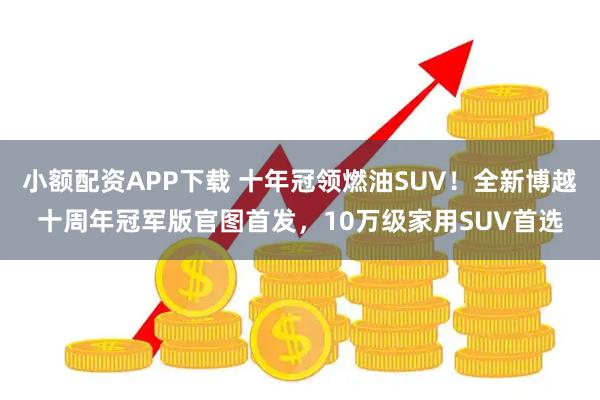 小额配资APP下载 十年冠领燃油SUV！全新博越十周年冠军版官图首发，10万级家用SUV首选