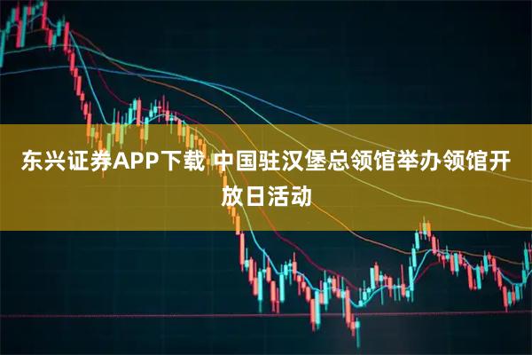 东兴证券APP下载 中国驻汉堡总领馆举办领馆开放日活动